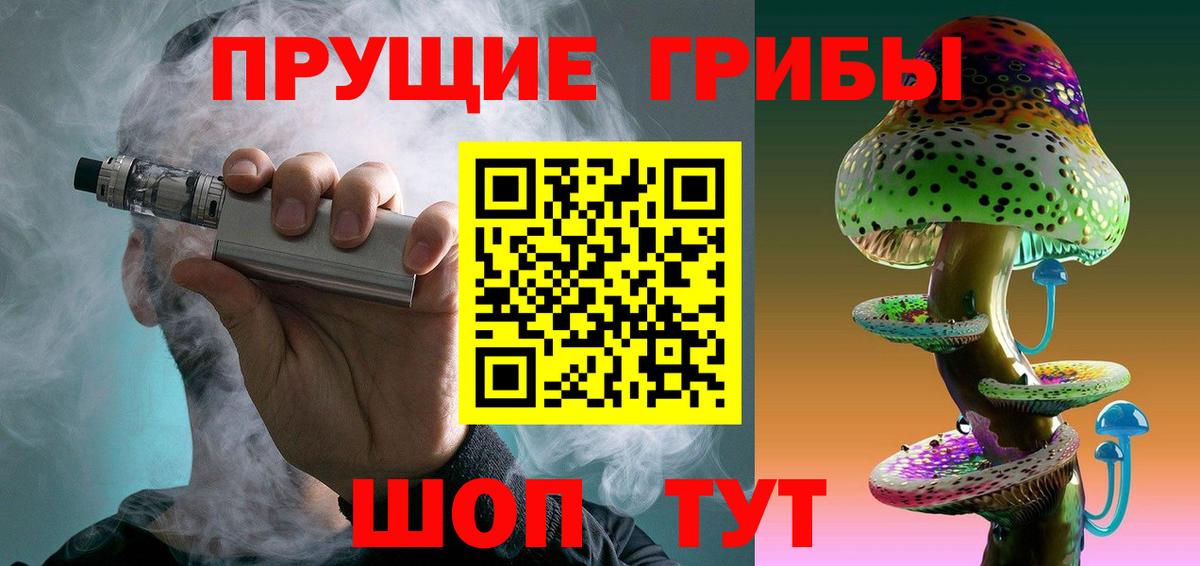 Большой Камень  Галлюциногенные грибы Psilocybe  Вход с VPN 