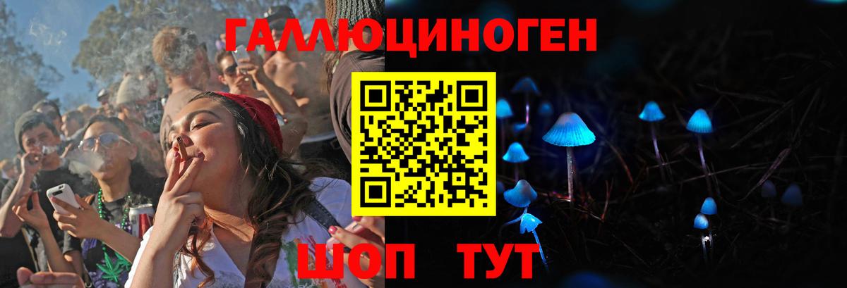 Галлюциногенные грибы мухоморы Большой Камень